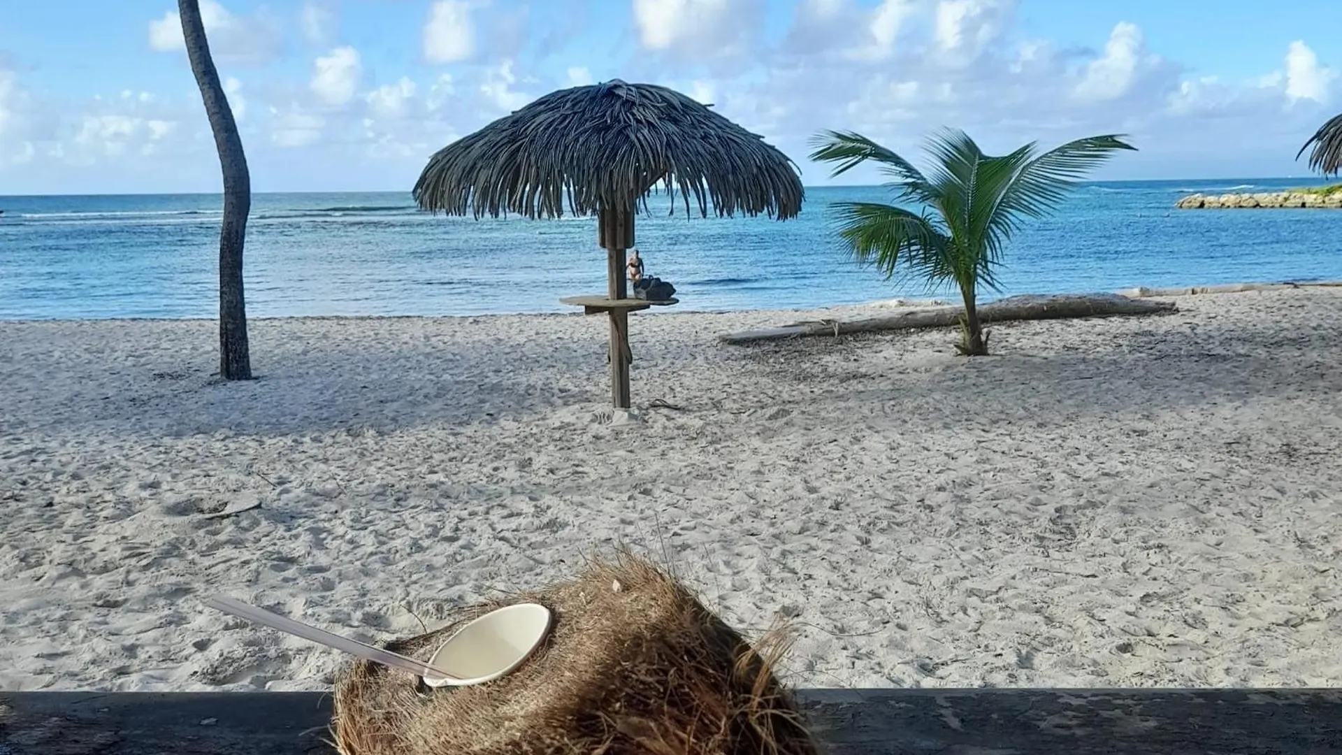Apartment Appartement Bumbu 626 Anse Des Rochers Saint-Francois  Guadeloupe