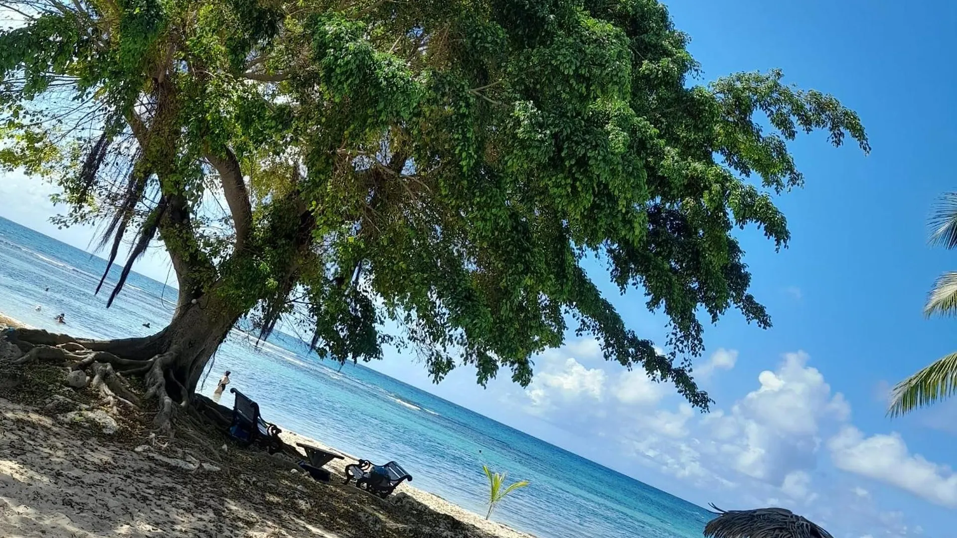 Appartement Bumbu 626 Anse Des Rochers Saint-Francois  Saint-Francois (Grande-Terre)
